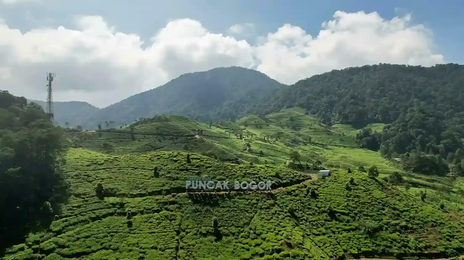 PUNCAK